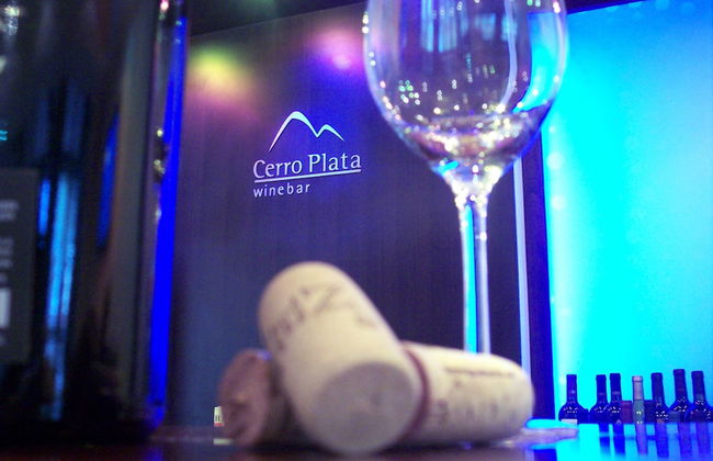 Montañas Azules Apart Hotel - Photo 32