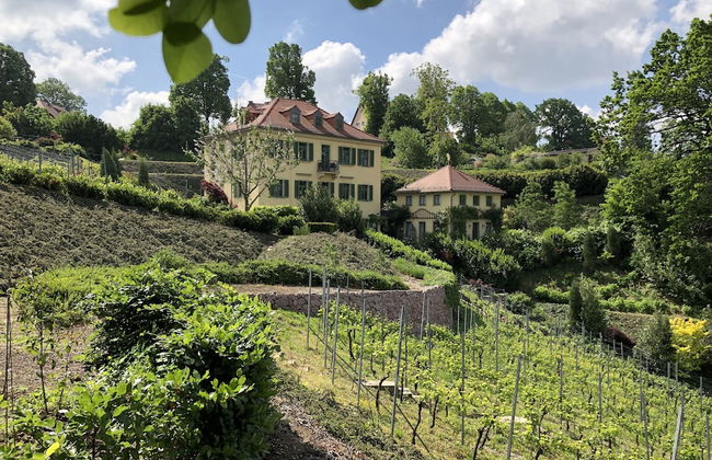 Rebenhaus Meißen - Foto 20