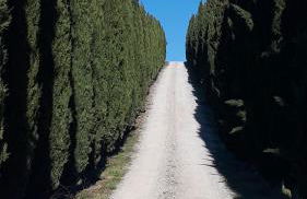 La casa di Elvira - Foto 46