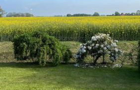 Nordseeküste am Deich mit schönem Garten - Foto 22