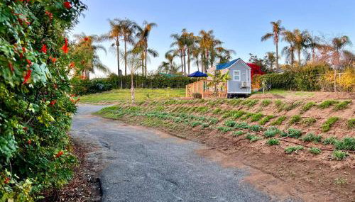 Tiny House on private large property - Photo 5