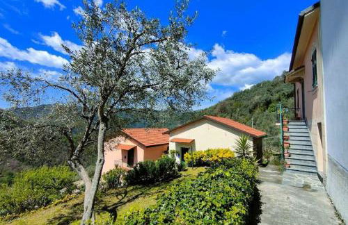 casa di arya CODICE CITRA LT-0043 - Foto 22