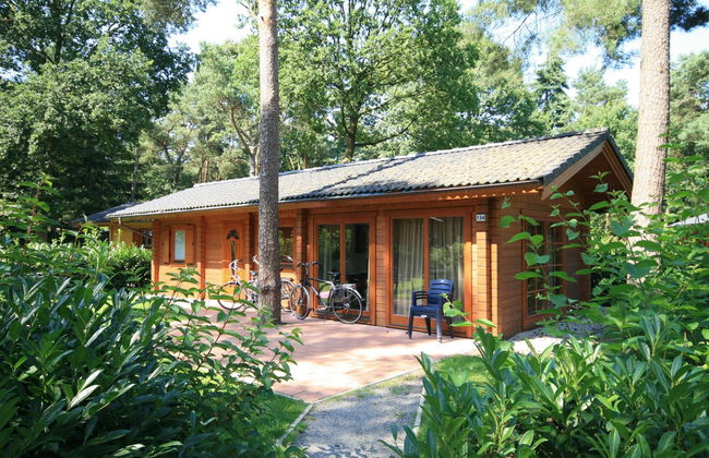 2 bedroom House in Lochem with swimming pool and terrace - Photo 1