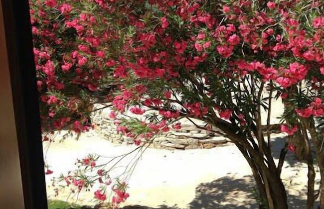 Otium Country House - Foto 77