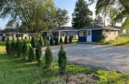 The little blue jay - Foto 1