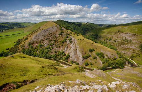 The Piggery - Foto 9