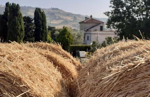 Pier Delle Vigne B&B - Foto 15