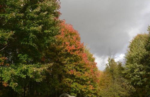 CHASIN' MEMORIES - Foto 51