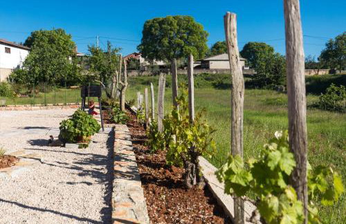 Apartment Doris, Nenadici - Photo 23