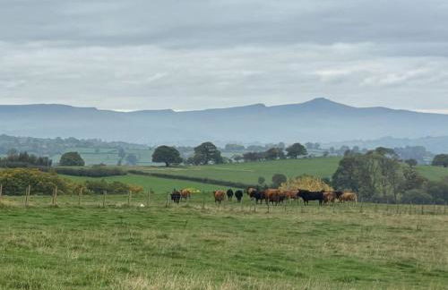The Cottage at Sychnant Farm - Photo 28