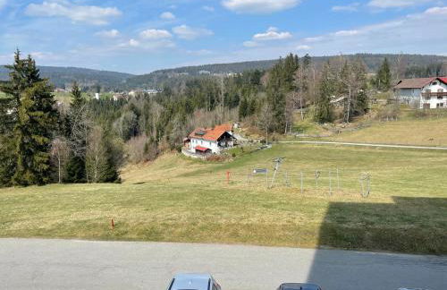 Dreisessel Dreiländereck Pool Sauna - Foto 29