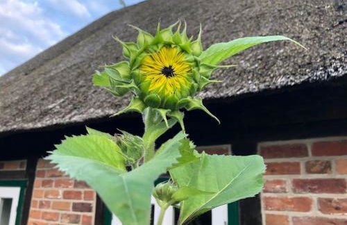 Haus an Fluss und See - Foto 8