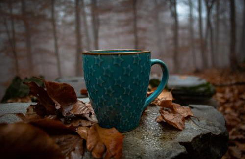 Ιξός Home - Photo 53