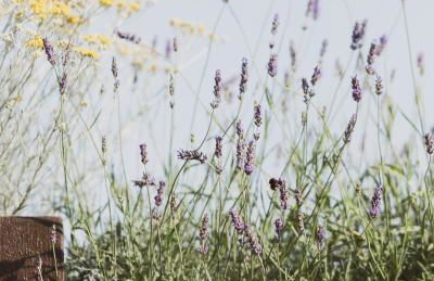 Al Borgo 01 Luxury Suites in Sardinia - Foto 18