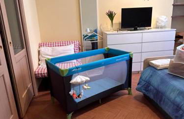 i tulipani - Foto 52