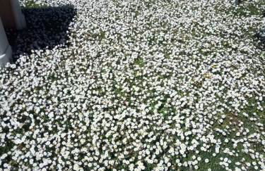 B&B I Montanari - Foto 57