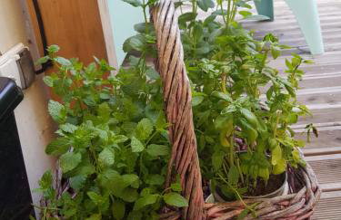 Dom na Warmii -Siedlisko Jabłonka - Foto 29