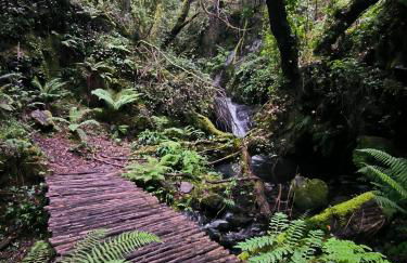 Cantinho do Talasnal - Foto 29