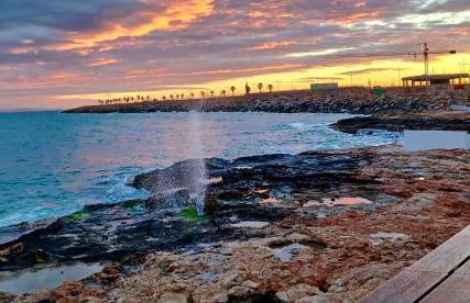 Apartament La Mata - Photo 18