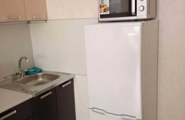 Apartment on Lysaya Gora 36-2a Green Area 5 - Photo 8