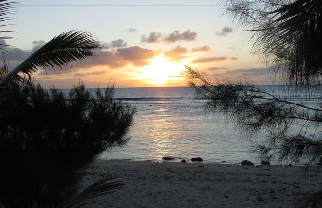 The Cooks Oasis - Foto 60