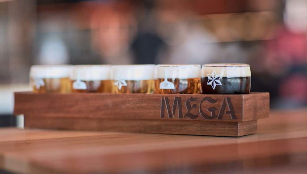 Dégustation de cinq bières Estrella Galicia