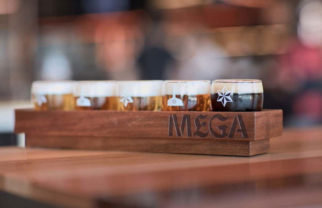 Entrada a MEGA: Mundo Estrella Galicia - Foto 1