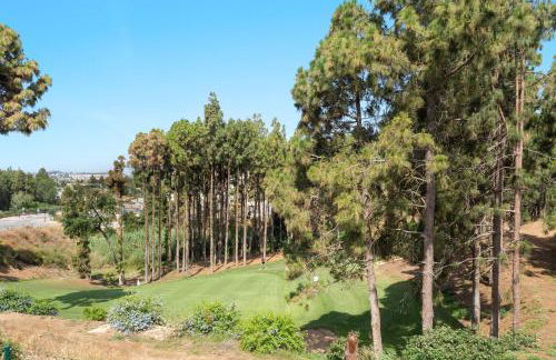 Eden Exclusive - Foto 23