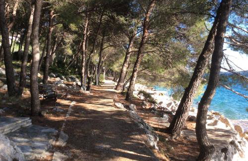 The Sea Cottage Apartments - Foto 64