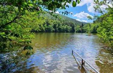 Alte Goldschmiede Südpfalz - Foto 52