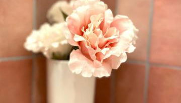 Altstadt pur! An der schönen Katharinenkirche - Foto 5