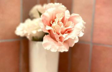 Altstadt pur! An der schönen Katharinenkirche - Foto 5