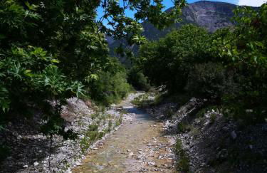 Blumenhaus (Spiti Louloudia) - Foto 38