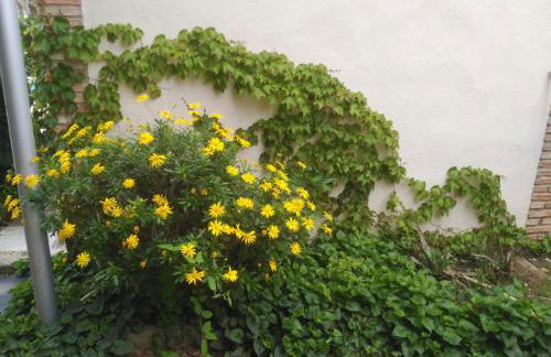 Vivienda Turística Rural Mari Carmen - Foto 50