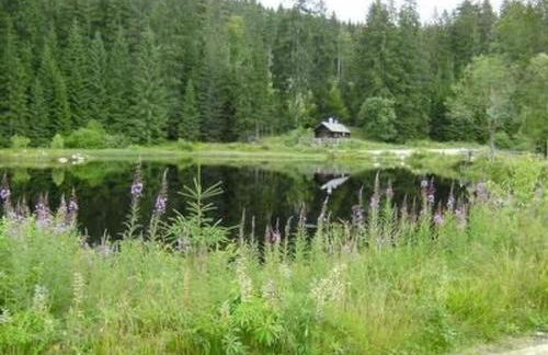 Holiday Home zur Linde by Interhome - Foto 18