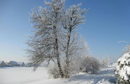 Ferienappartements "Landromantik" - Foto 78