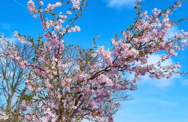 Borlum House - Foto 28