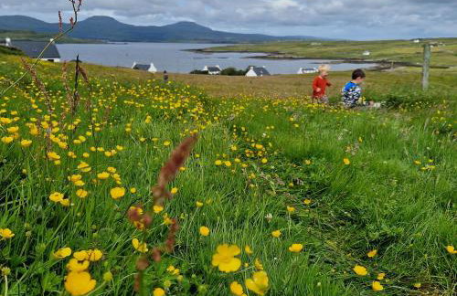 Ornum Self Catering Cottage - Foto 39