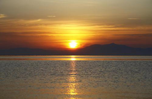 Star Beach Resort - Photo 9