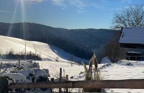Kapellenhof Ferienwohnungen - Foto 51
