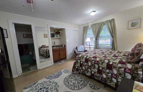 Saranac Lake Studio Apartment - Foto 8