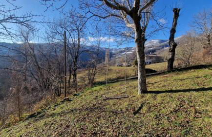 Casetta immersa nella natura - Foto 11