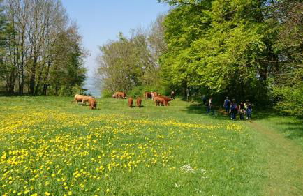 Casa Asensio - Foto 35