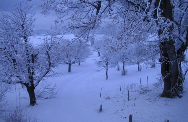 Apartment in Trans Village - Foto 30