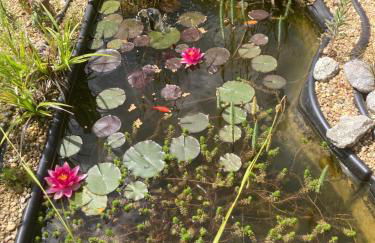 l'Echo des Glieres vue montagne centre village sauna & grill - Foto 46