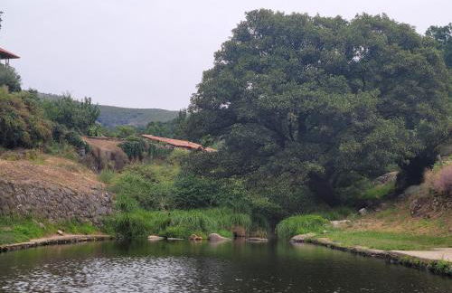 Gata Maitea -Apart Ama- Sierra de Gata - Foto 11