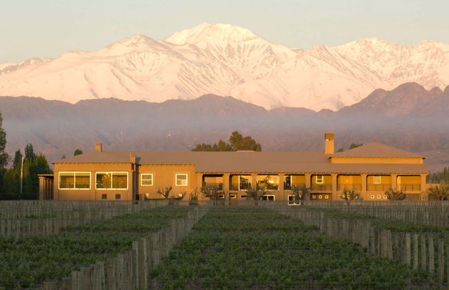 Tour privado pelas vinícolas de Luján de Cuyo - Foto 6