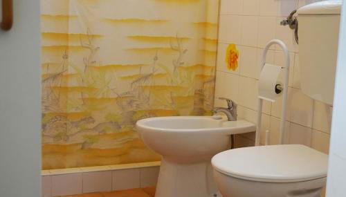 Casinha Robusto - Foto 4, Shower