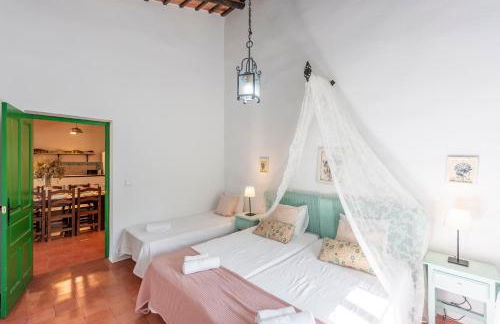 Huerta la Pimentada - Foto 73