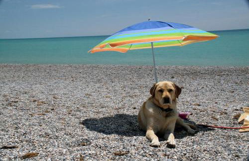 Verde Mare apartment Rosignano Marittimo - Foto 32